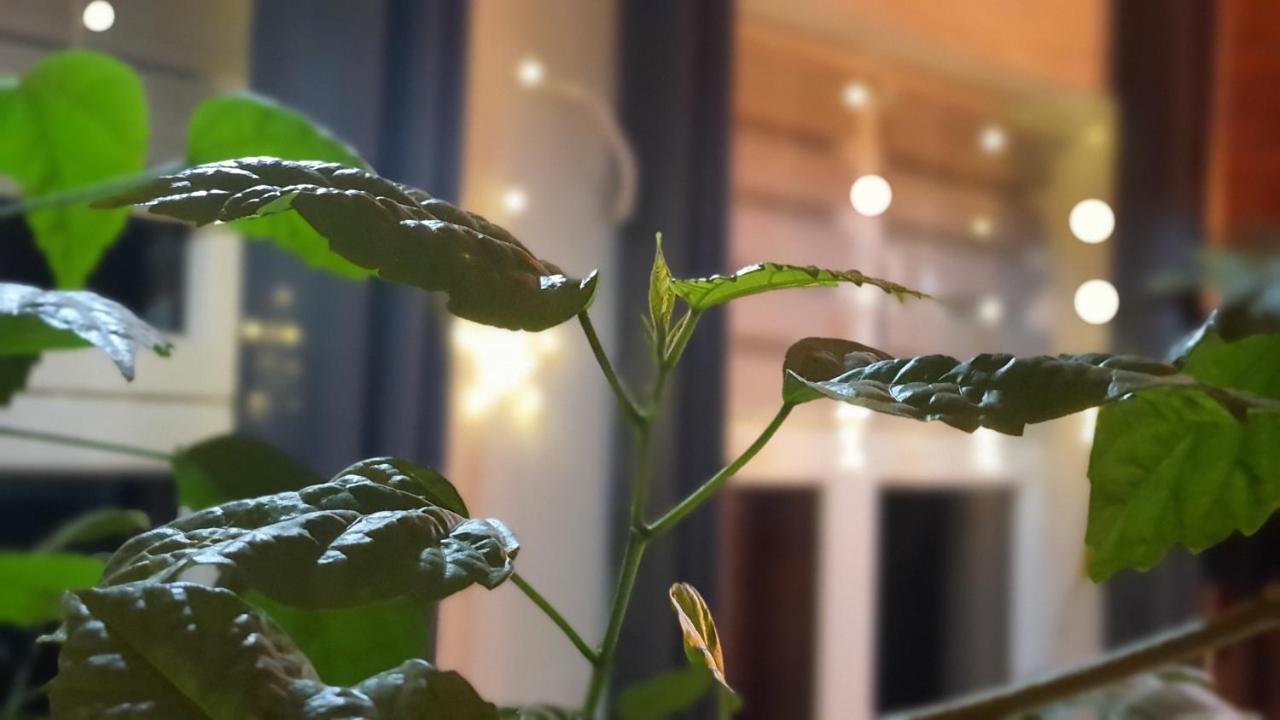 Weremowice Stara Szkola W Weremowicach 아파트 외부 사진